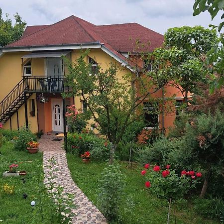 Casa Liana Hotel Oradea Exterior foto
