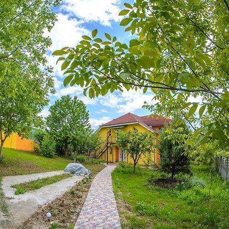 Casa Liana Hotel Oradea Exterior foto